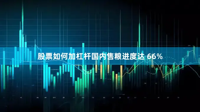 股票如何加杠杆国内售粮进度达 66%