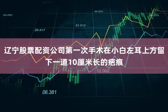 辽宁股票配资公司第一次手术在小白左耳上方留下一道10厘米长的疤痕