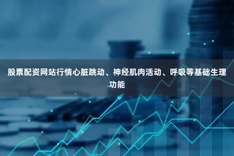 股票配资网站行情心脏跳动、神经肌肉活动、呼吸等基础生理功能